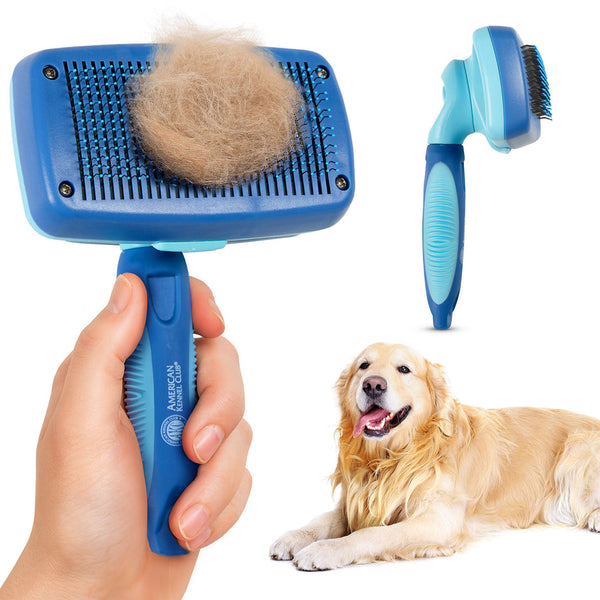 Brosse auto-nettoyante pour chien et chat - toilettage sans effort